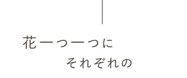 花一つ一つにそれぞれの愛情。