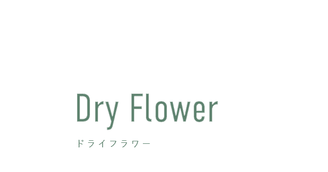 Herbarium&Dry Flower