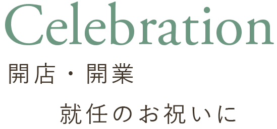 Celebration開店・開業就任のお祝いに